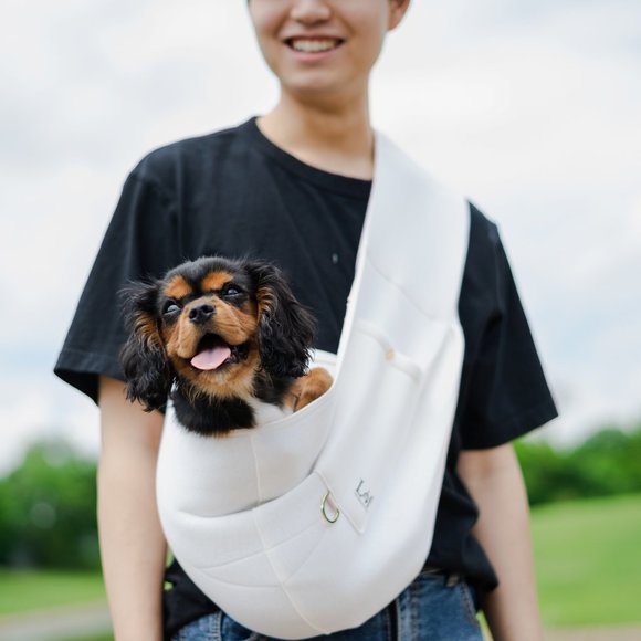 Lof Comfortable Pet Sling Carrier For Small Dogs - Picture 4 of 8